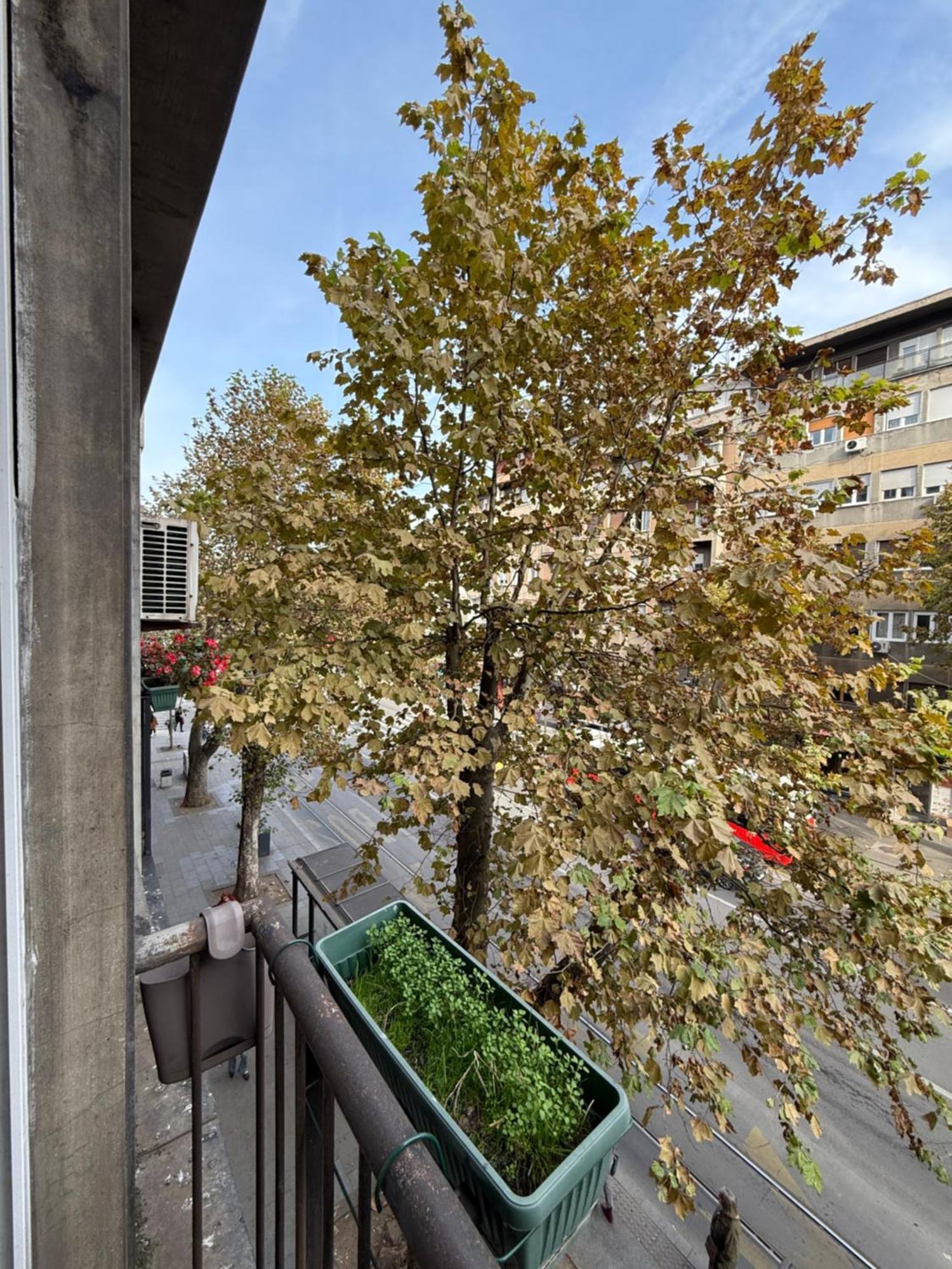 Apartment, Stari Grad, Belgrad Exterior foto